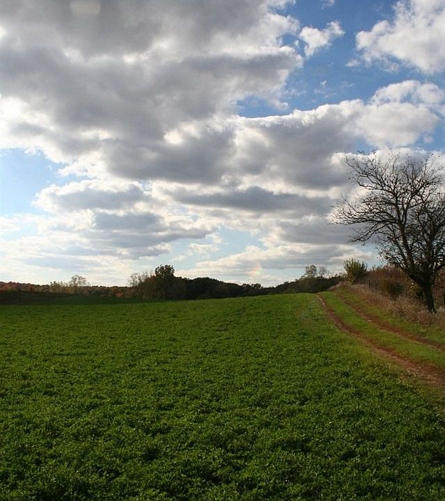 1st image of 55033 County Road 43