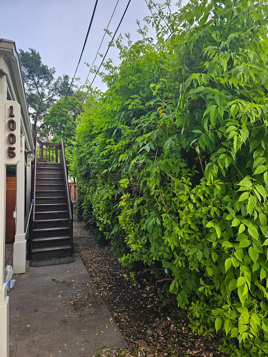 Entry to the second floor apartment - 1005 Charter Oak Ave #1005