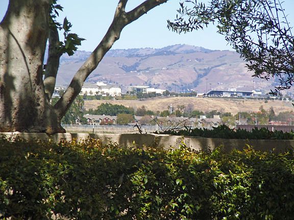 3rd image of 441 Colony Crest Dr
