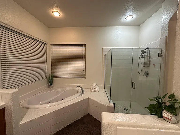Master bathroom