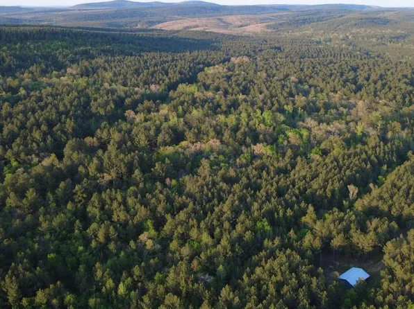 Signal Mountain Trail Rd #73000, Ringold, OK 74754