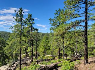County Road 38.2, Weston, CO 81091
