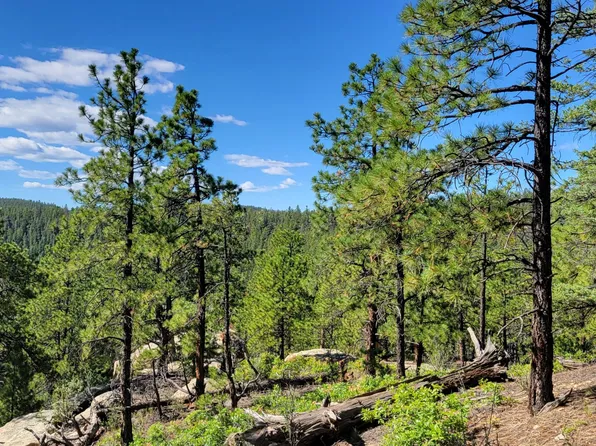 County Road 38.2, Weston, CO 81091