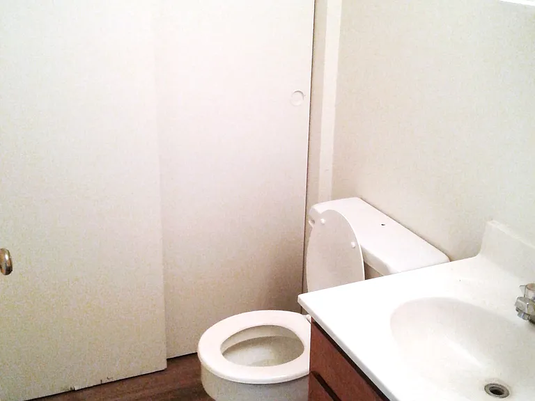 1554 Greene Lake Dr — Photo 11