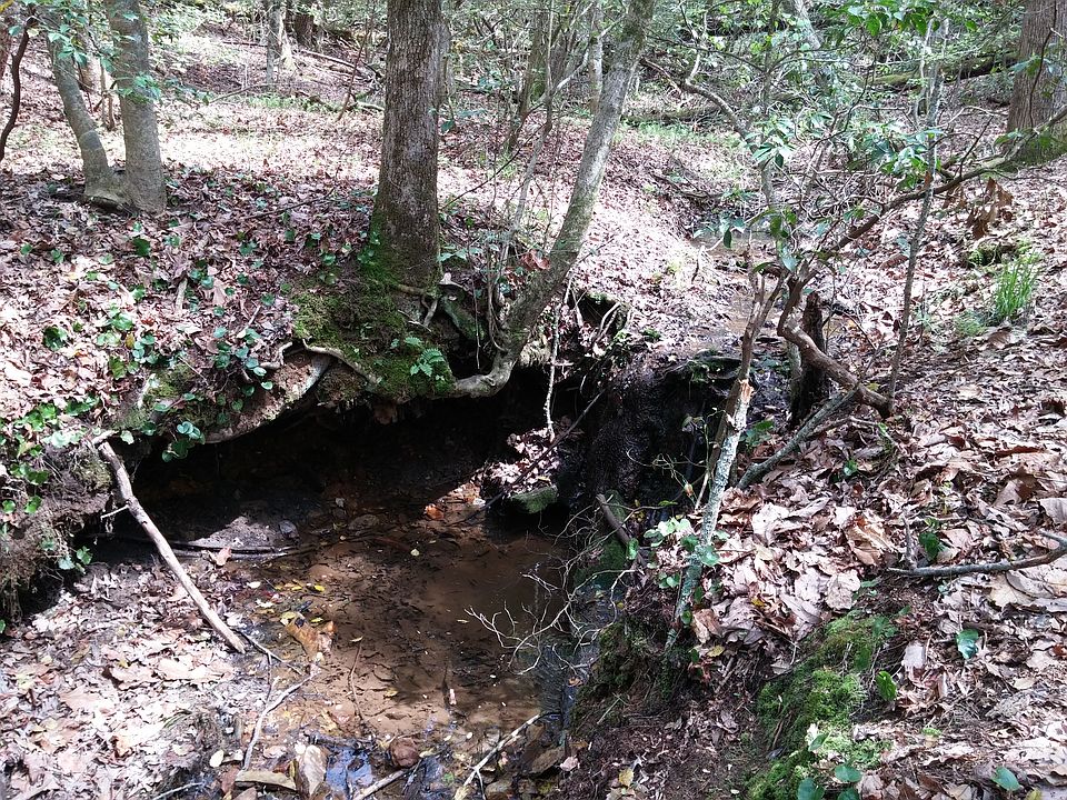 2nd image of Byrd Rd