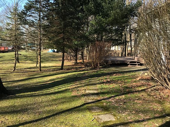 Back Yard View