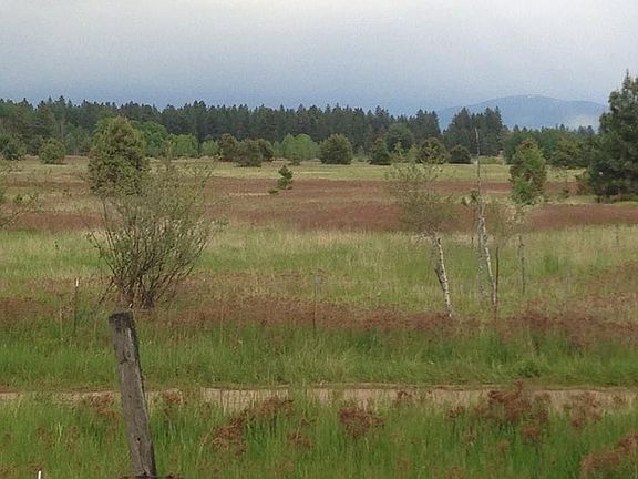 View from front of house