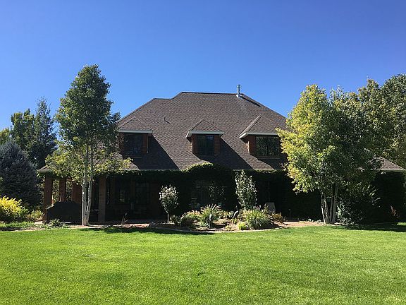 Back yard view