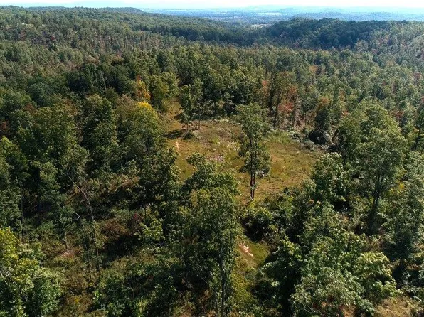 0 Highway 32, Belleview, MO 63623