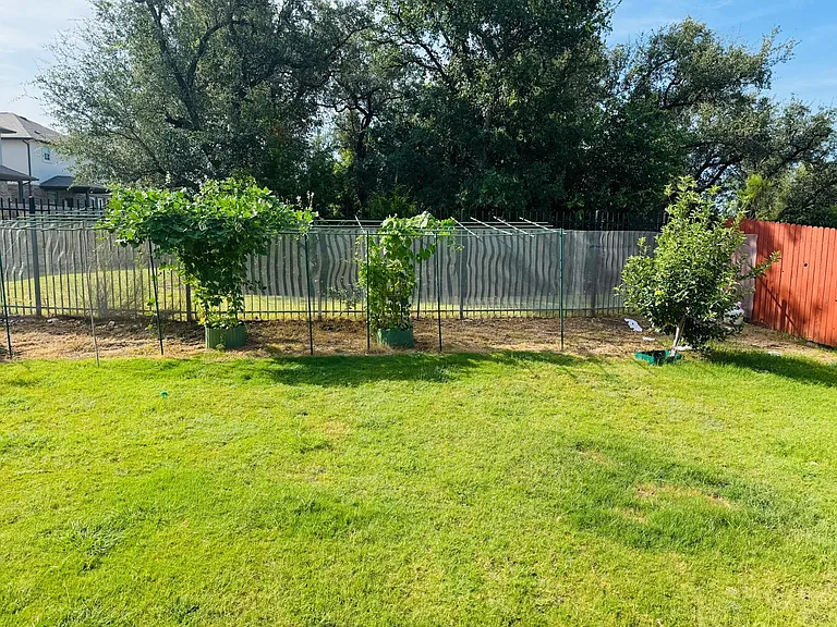 113 Queen Anne Dr — Photo 25