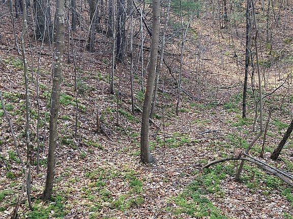 5th image of 0 Summit Springs Dr #4