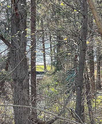 4th image of 124 W Tahoe Trl