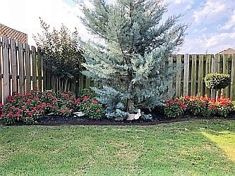 5th image of 6009 S 39th Pl