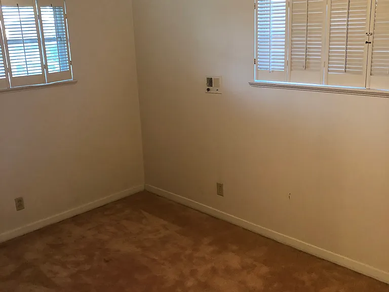 4233 Willow Oak — Photo 10