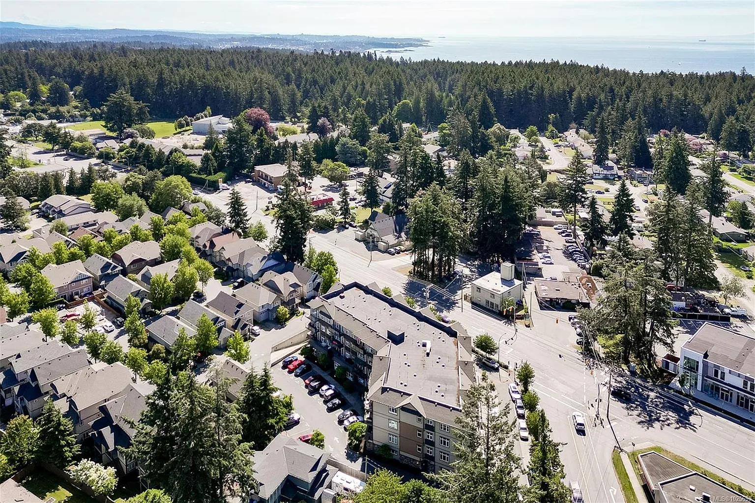 2220 Sooke Rd #305 photo 1