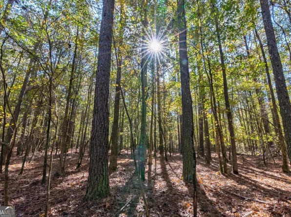 0 Wilson Ln, Arnoldsville, GA 30619