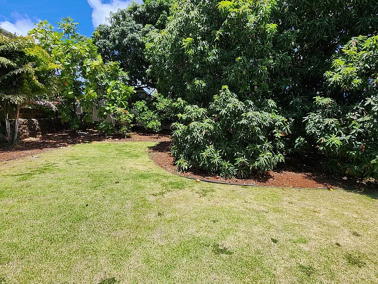 3353 Sierra Dr — Photo 15