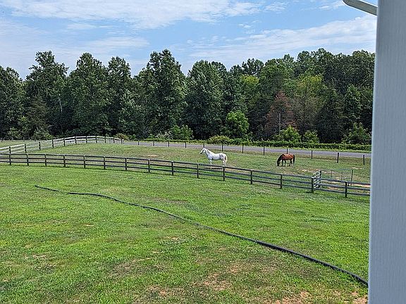 borders Sumer Duck Stream