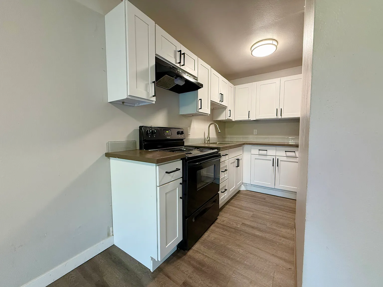 1 bed, 650 sqft, $1,500 — Photo 4