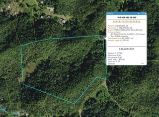 1 Bo Dominguito Ctr #651, Arecibo, PR 00612