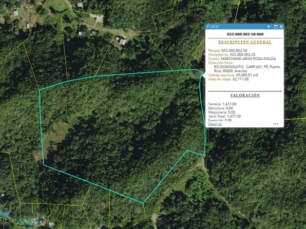 1 Bo Dominguito Ctr #651, Arecibo, PR 00612