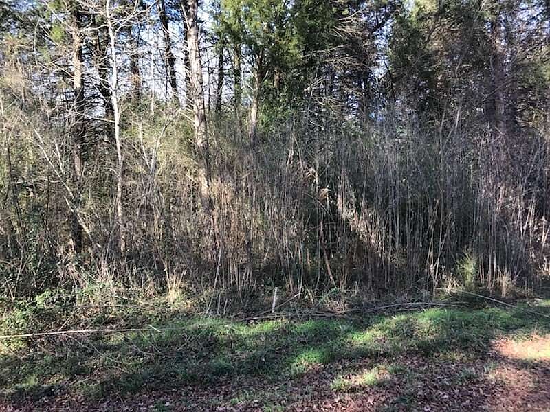 2nd image of 10343 County Road 3111 N