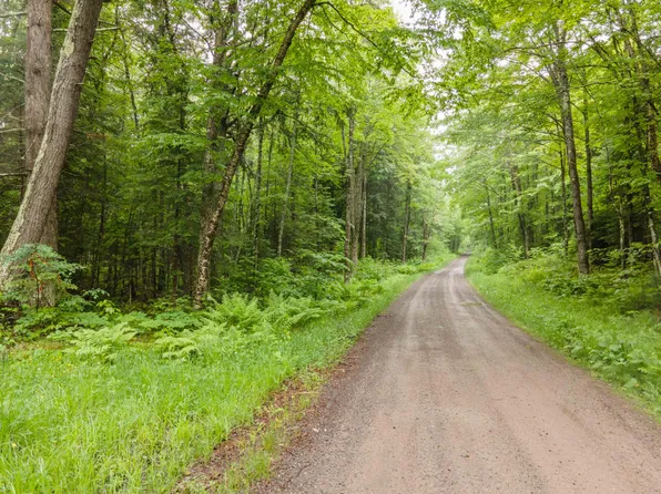 Bart King Rd, Iron River, MI 49935