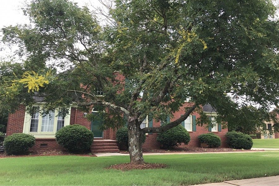 1st image of 119 Lawson Wall Dr