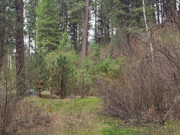 39 Beaver Creek Rd, Boise, ID 83716
