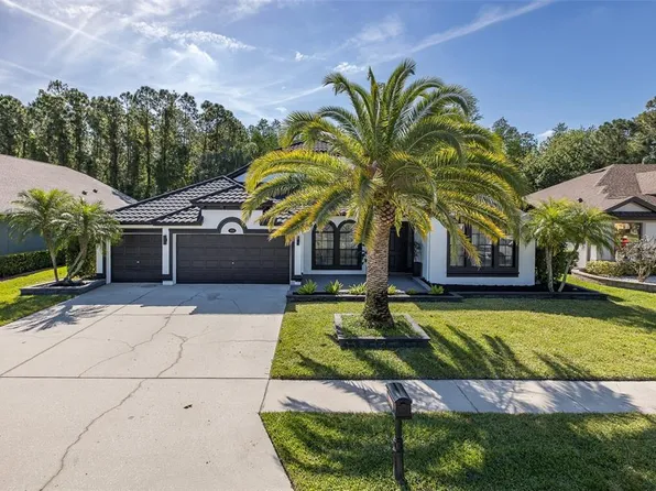 16716 Ivy Lake Dr, Odessa, FL 33556