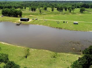 3052 Buie Rd, Diana, TX 75640