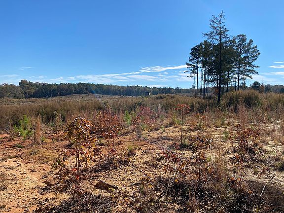 3rd image of 60 / Acres #On