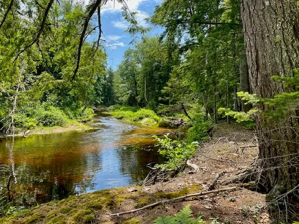 00 Pratt Road, Parsonsfield, ME 04047