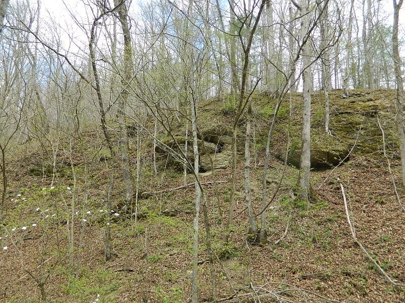 1 Griffith Branch Rd, Jackson, KY 41339 MLS 23006807 Zillow