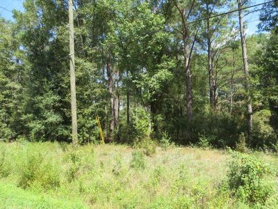 0 Trebor Ln, Sopchoppy, FL, 32358