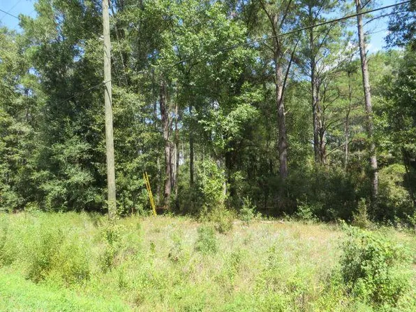 0 Trebor Ln, Sopchoppy, FL 32358