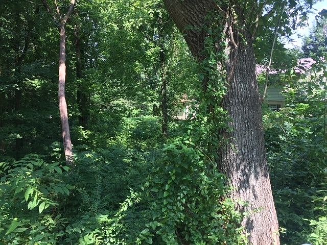1st image of 0 Davis Cir NW Lot 7