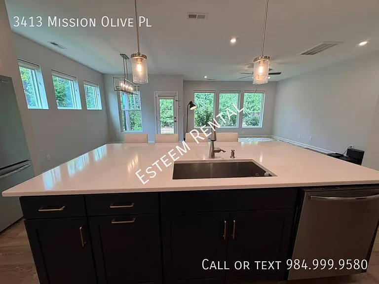 3413 Mission Olive Pl — Photo 16