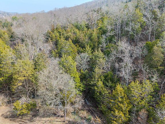 5th image of 9406 Heiskell Rd