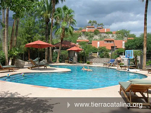 6460 N Tierra De Las Catalinas #116 — Photo 4