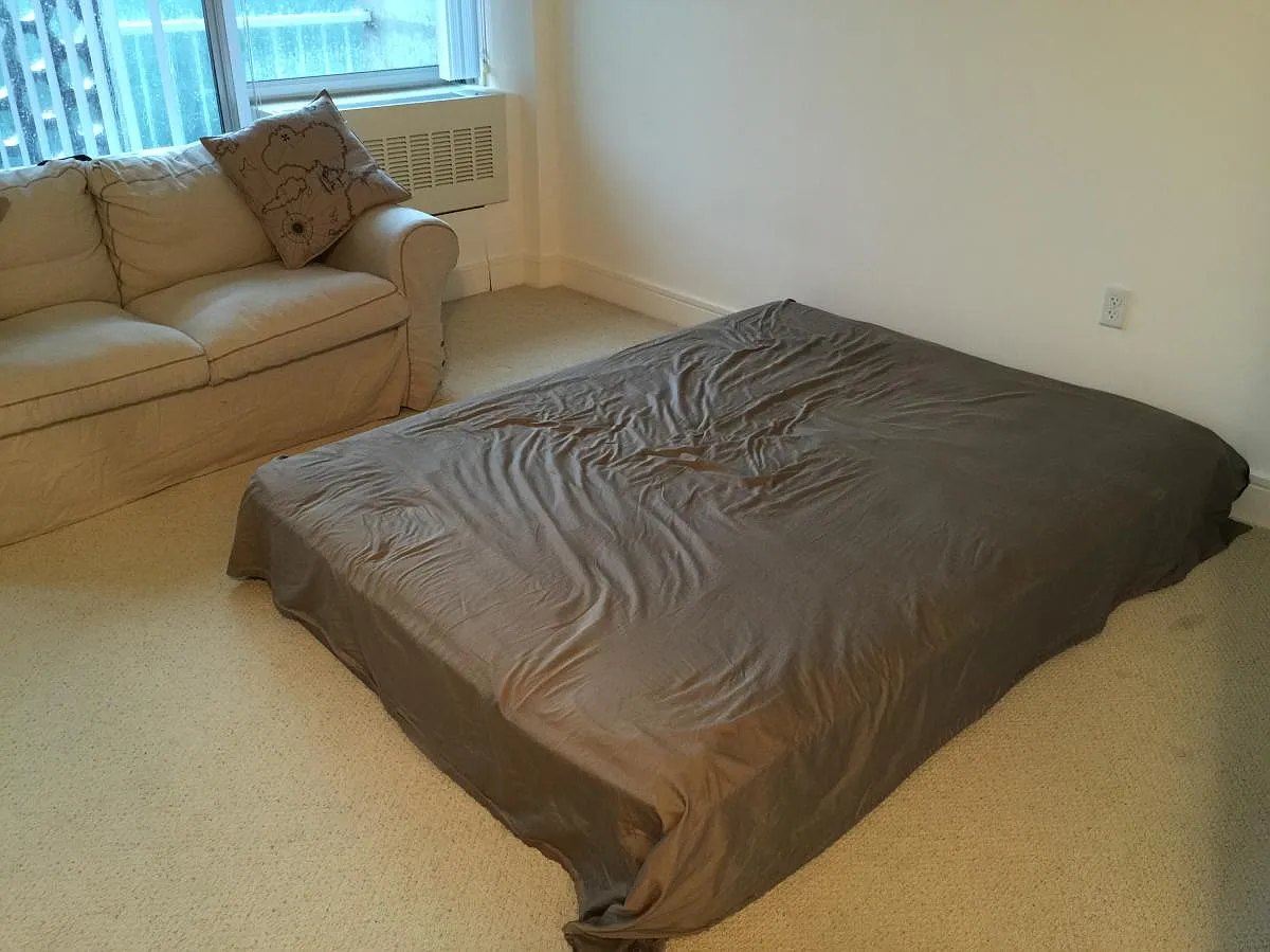 Living Room / Bedroom - 3