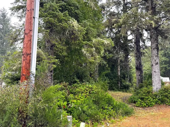 815 Scaup Court SE, Ocean Shores, WA 98569