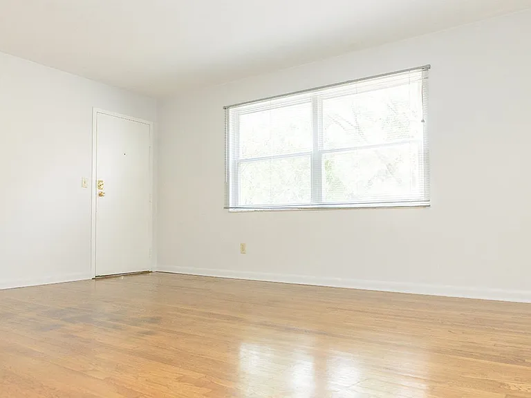 378 Wyandotte Ave — Photo 5