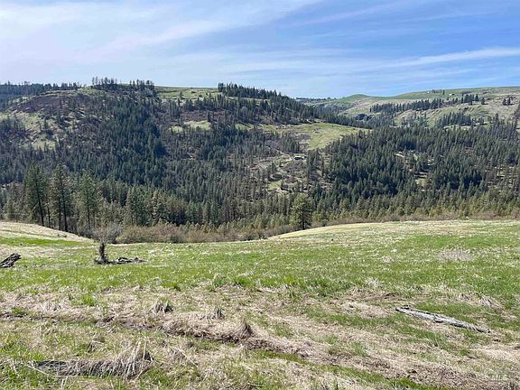 2nd image of Wagon Wheel Rd