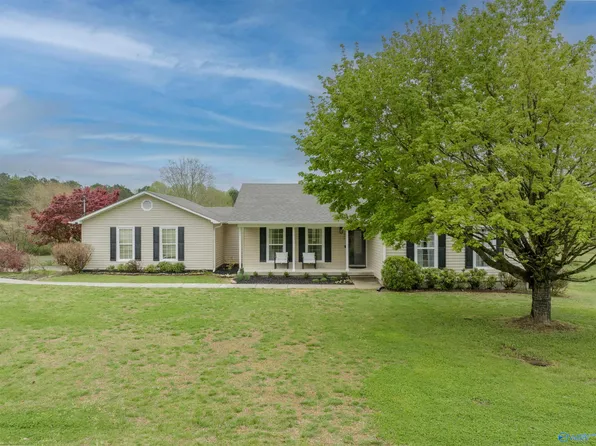 384 Scenic Bluff Dr, Guntersville, AL 35976