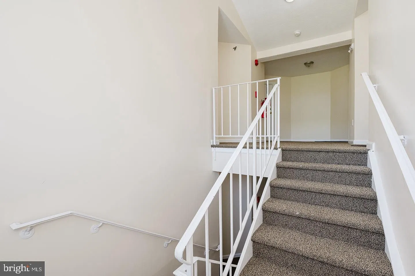 2 bed, 1.0 bath, 1000 sqft, $1,800 — Photo 3