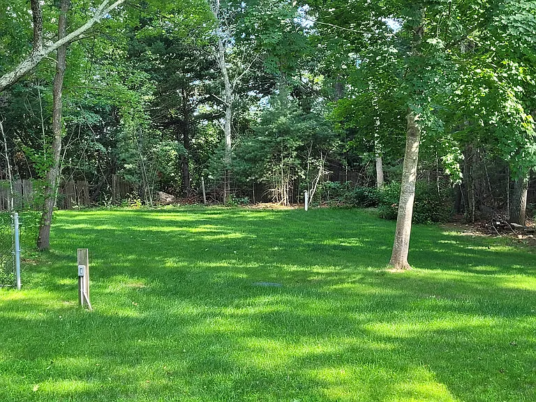 View to Back Yard