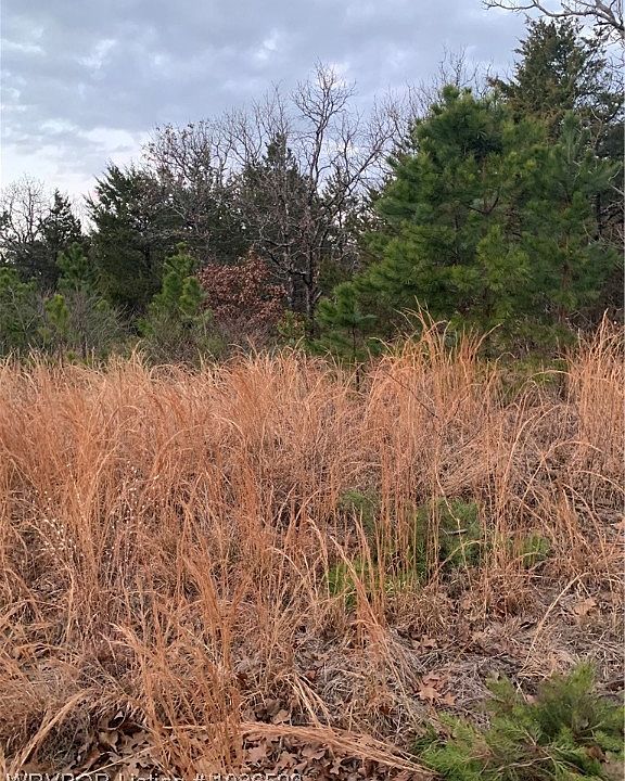 2nd image of Wildwood Ln #10