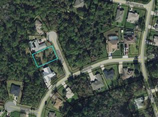 3 Zaharoff Pl, Palm Coast, FL 32164