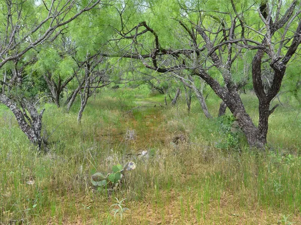 County Road 119, Baird, TX 79504